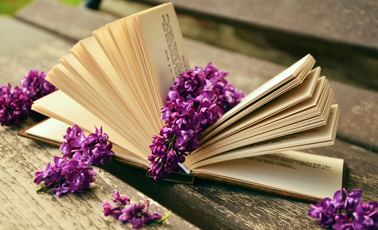 The Quiet Pleasure of Rereading a Beloved Book